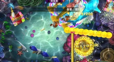 正版星力十代网站