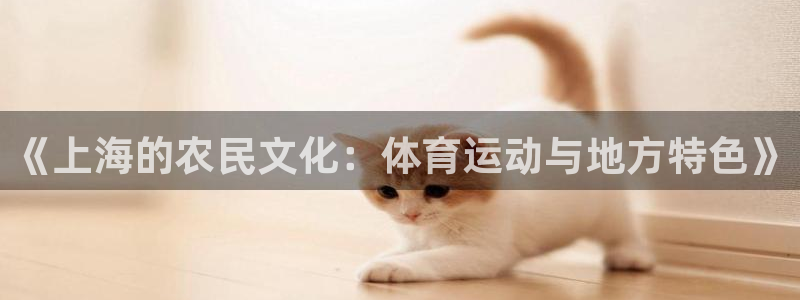 沐鸣2官网注册：《上海的农民文化：体育运动与地方特色》