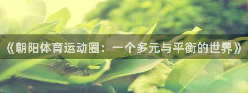 成都沐鸣2电子有限公司：《朝阳体育运动圈：一个多元与平衡的世界》