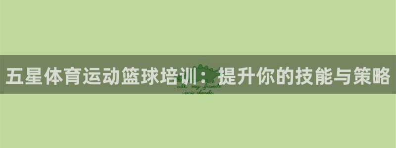 沐鸣平台主管：五星体育运动篮球培训：提升你的技能与策略