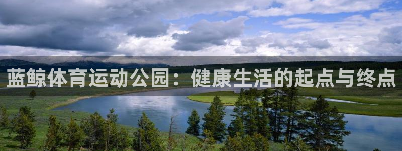 沐鸣平台登录线路：蓝鲸体育运动公园：健康生活的起点与终点