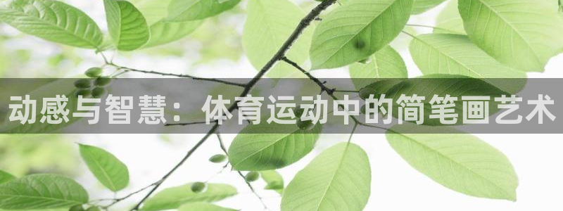 沐鸣官网：动感与智慧：体育运动中的简笔画艺术