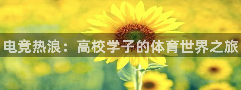沐鸣2体育注册平台：电竞热浪：高校学子的体育世界之旅