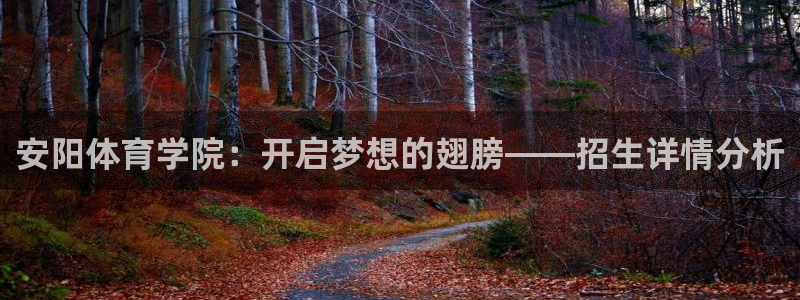 沐鸣娱乐招商：安阳体育学院：开启梦想的翅膀——招生详情分析
