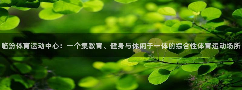沐鸣2体育和杏耀是哪个公司的：临汾体育运动中心：一个集教育、健身与休闲于一体的综合性体育运动场所