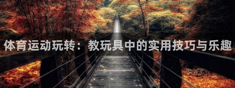 沐鸣2登录注册：体育运动玩转：教玩具中的实用技巧与乐趣