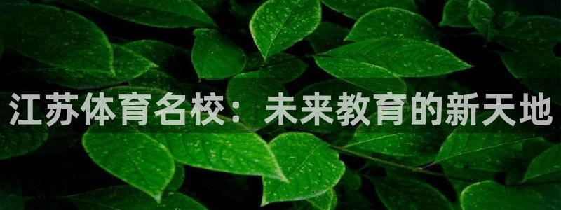 沐鸣24开户：江苏体育名校：未来教育的新天地