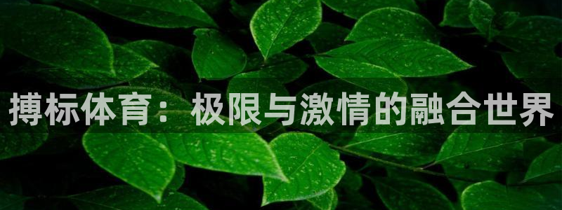 沐鸣2登录测速：搏标体育：极限与激情的融合世界