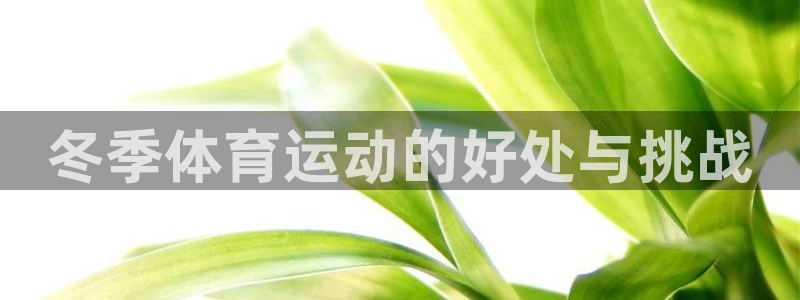 沐鸣2全集免费观看：冬季体育运动的好处与挑战