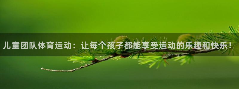 沐鸣2官网入口：儿童团队体育运动：让每个孩子都能享受运动的乐趣和快乐！
