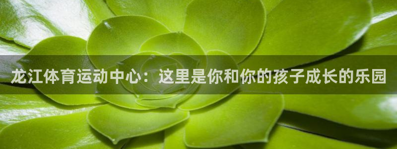 沐鸣2：龙江体育运动中心：这里是你和你的孩子成长的乐园