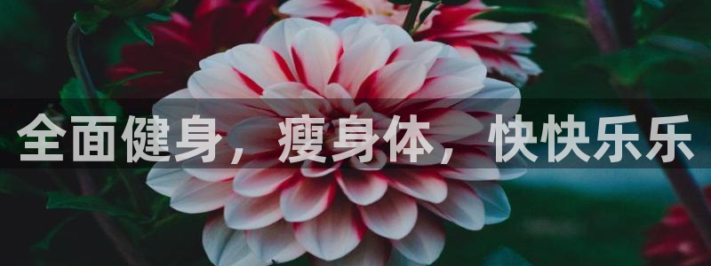 沐鸣2在线登录：全面健身，瘦身体，快快乐乐