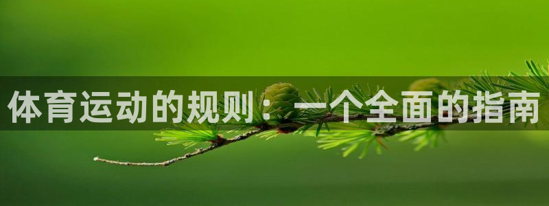 沐鸣2体育3在线注册：体育运动的规则：一个全面的指南
