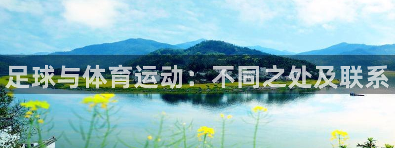 沐鸣2：足球与体育运动：不同之处及联系