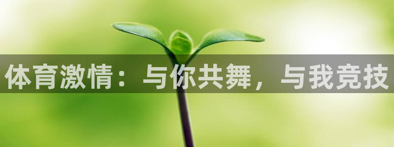 沐鸣平台主管：体育激情：与你共舞，与我竞技