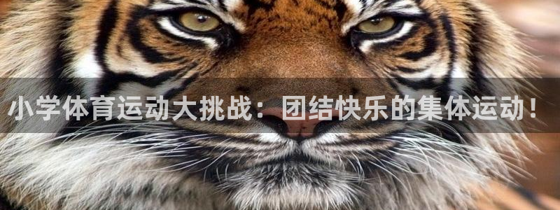 沐鸣2体育凯捷平台注册：小学体育运动大挑战：团结快乐的集体运动！