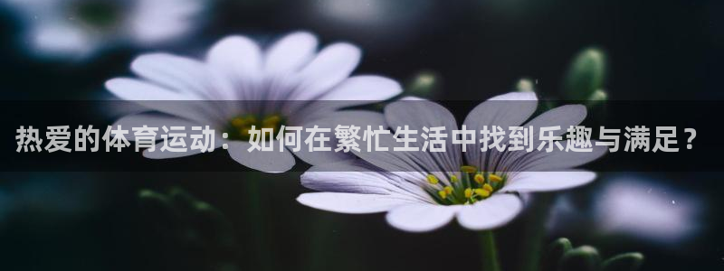 沐鸣2平台：热爱的体育运动：如何在繁忙生活中找到乐趣与满足？