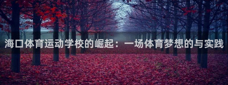 沐鸣23平台注册：海口体育运动学校的崛起：一场体育梦想的与实践