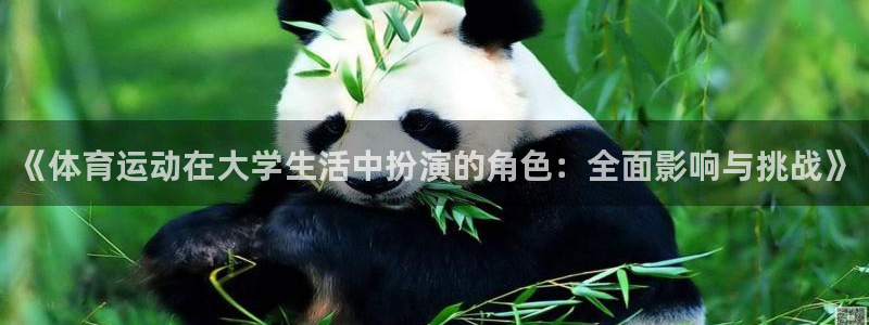 沐鸣2体育官网注册：《体育运动在大学生活中扮演的角色：全面影响与挑战》